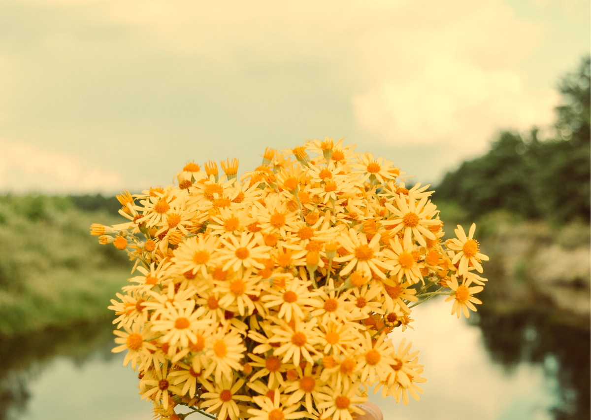 香港送花攻略：網購花束直送心意