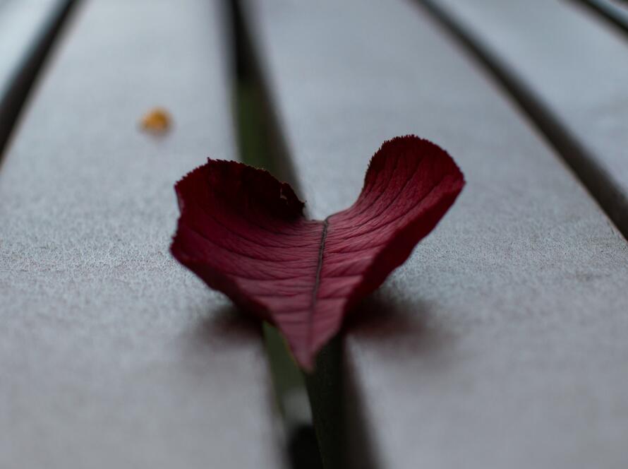 fleuriste-m-funeral-flower-peace