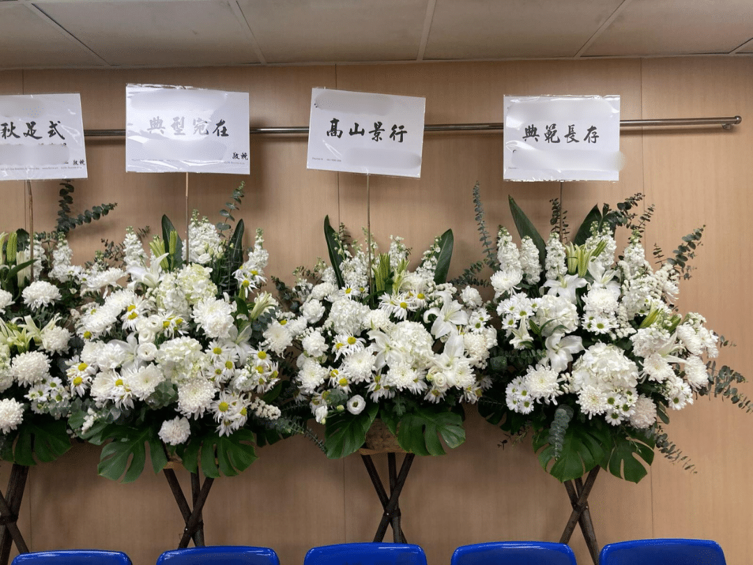 你的段落文字 (2)