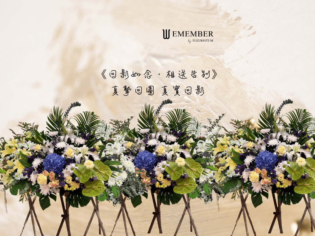 你的段落文字 (3)